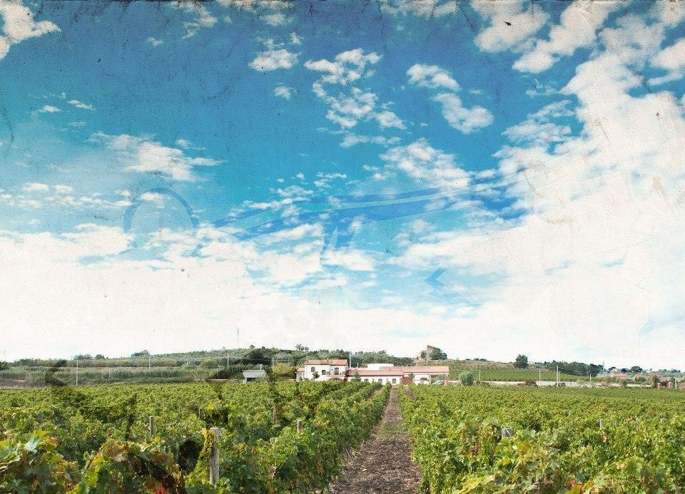 I Dolci Grappoli Villa Larino Exterior photo